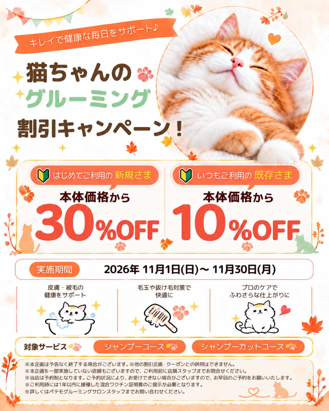 【11月限定】猫ちゃんのグルーミング割引キャンペーン開催
