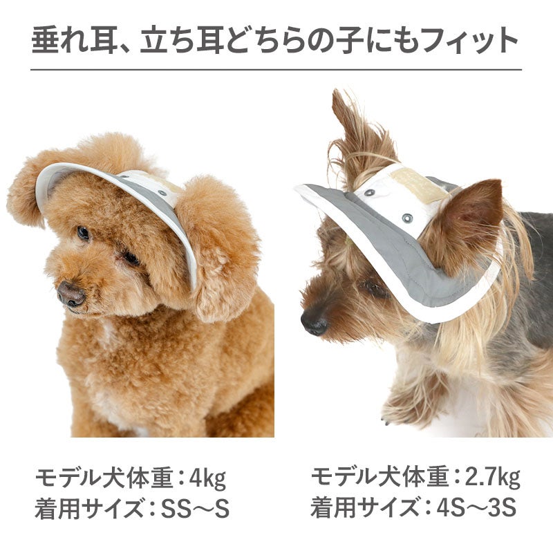 ニュース｜ショップニュース｜クールハット｜ イオンモール広島府中
