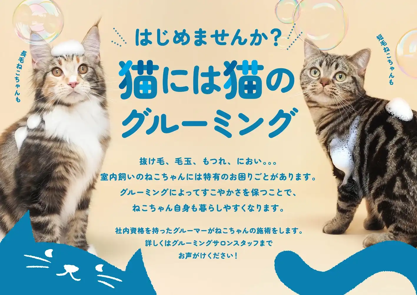 【ねこちゃんのグルーミングのご案内】