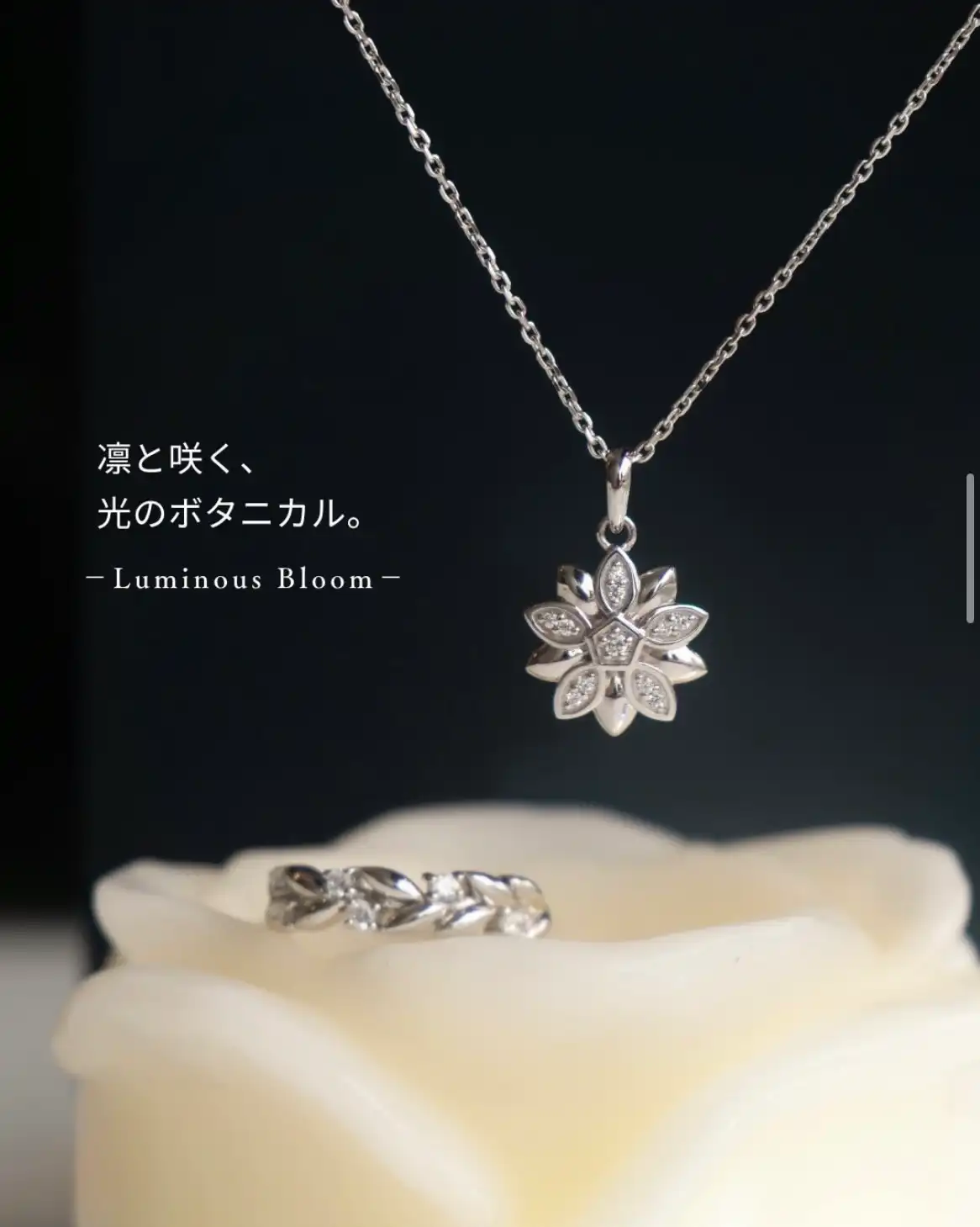 ☆新商品のお知らせ☆