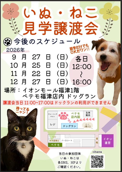 ペテモ　いぬ・ねこ見学譲渡会