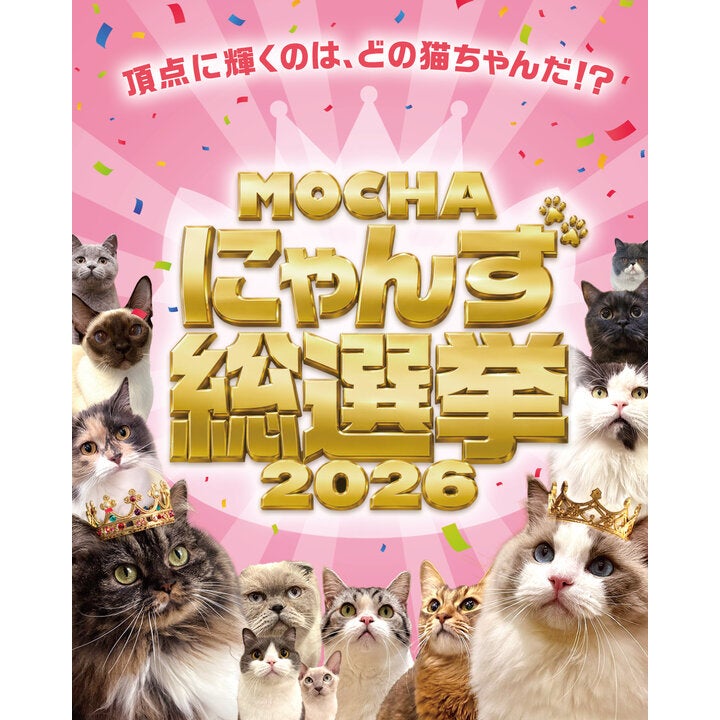 ニュース｜ショップニュース｜【mori】【MOCHAにゃんず総選挙2026