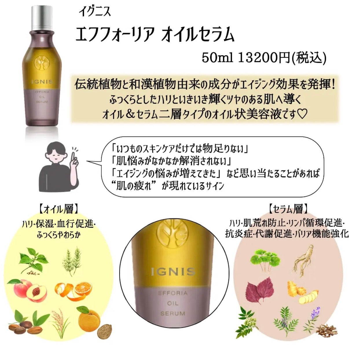 ニュース｜ショップニュース｜イグニス オイル美容液｜イオンモール大牟田