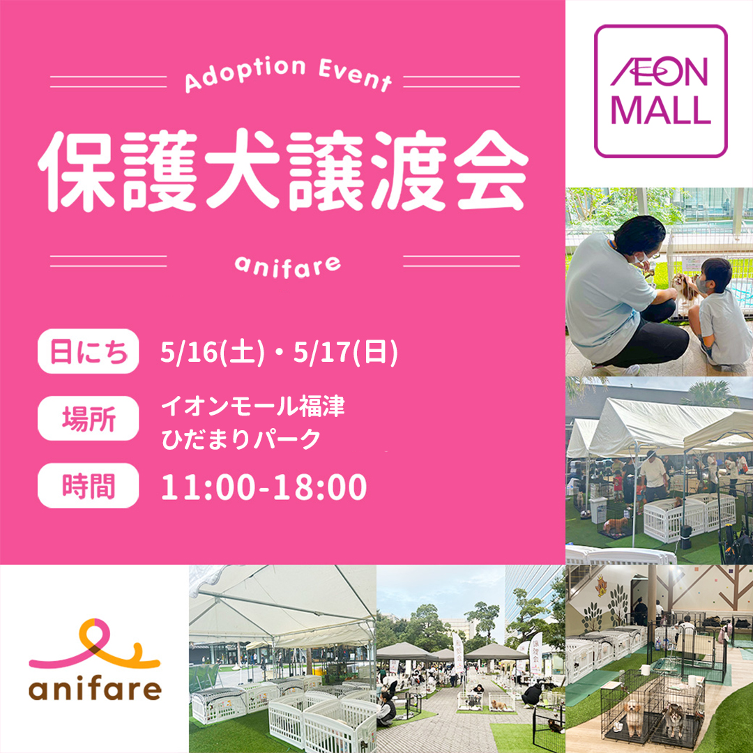 保護犬譲渡会