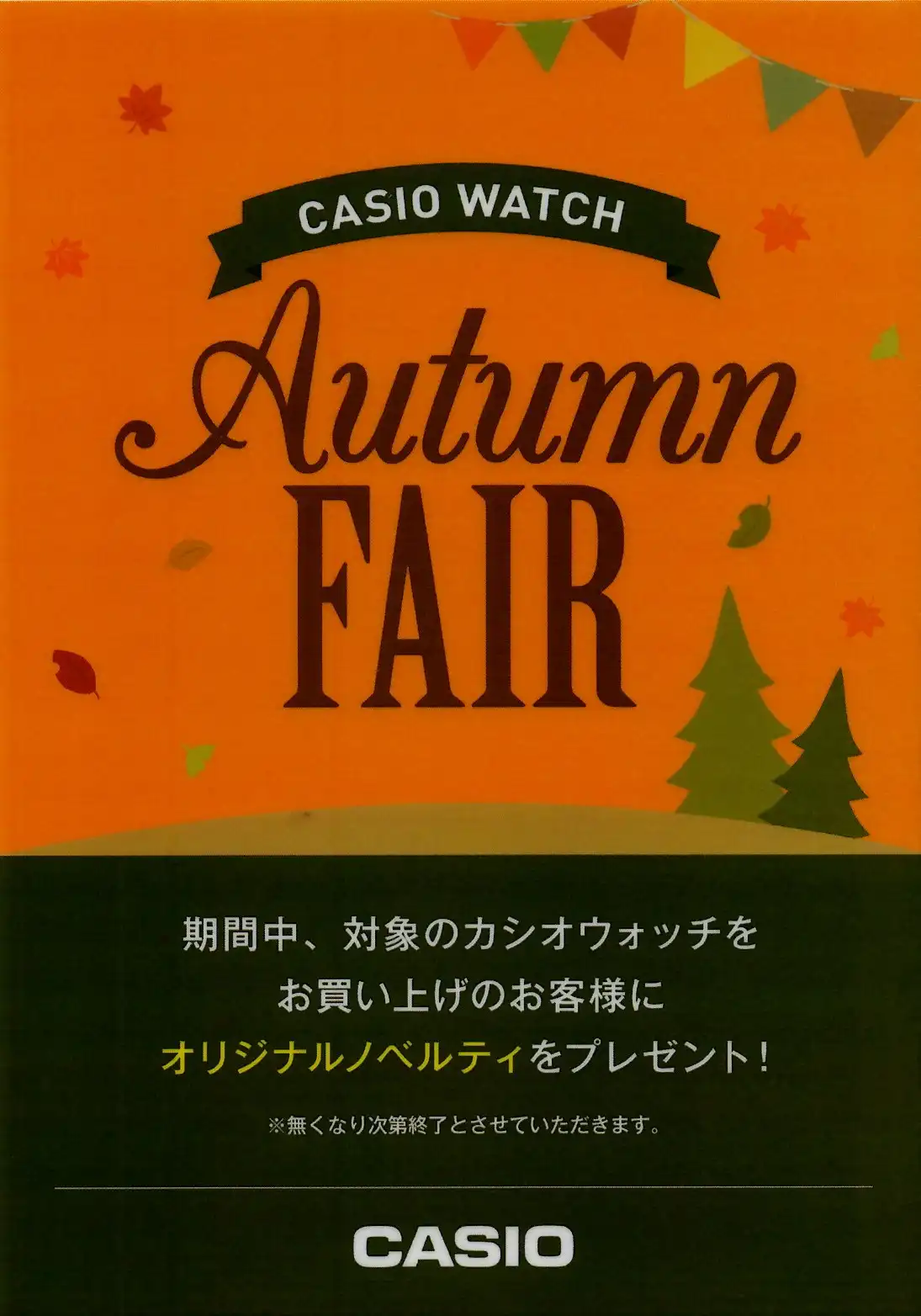 CASIO WATCH AUTUMN FAIR