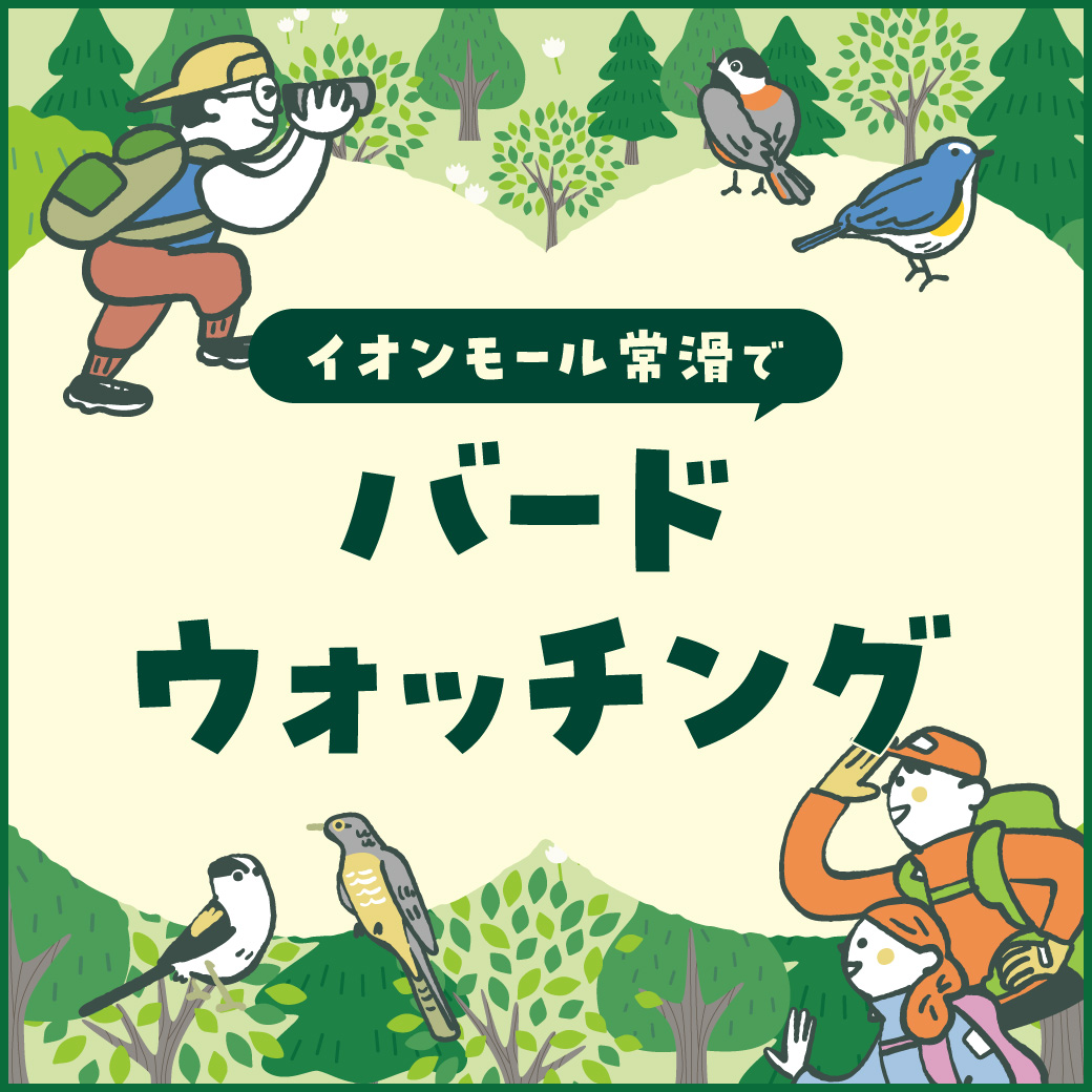イオンモール常滑でバードウォッチング