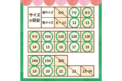 ブランシェス
