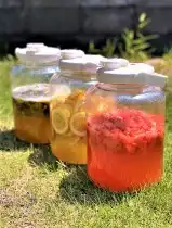 入会金不要の1日講座　ミネラル醗酵食「旬の果物で作る生の酵素ドリンク」