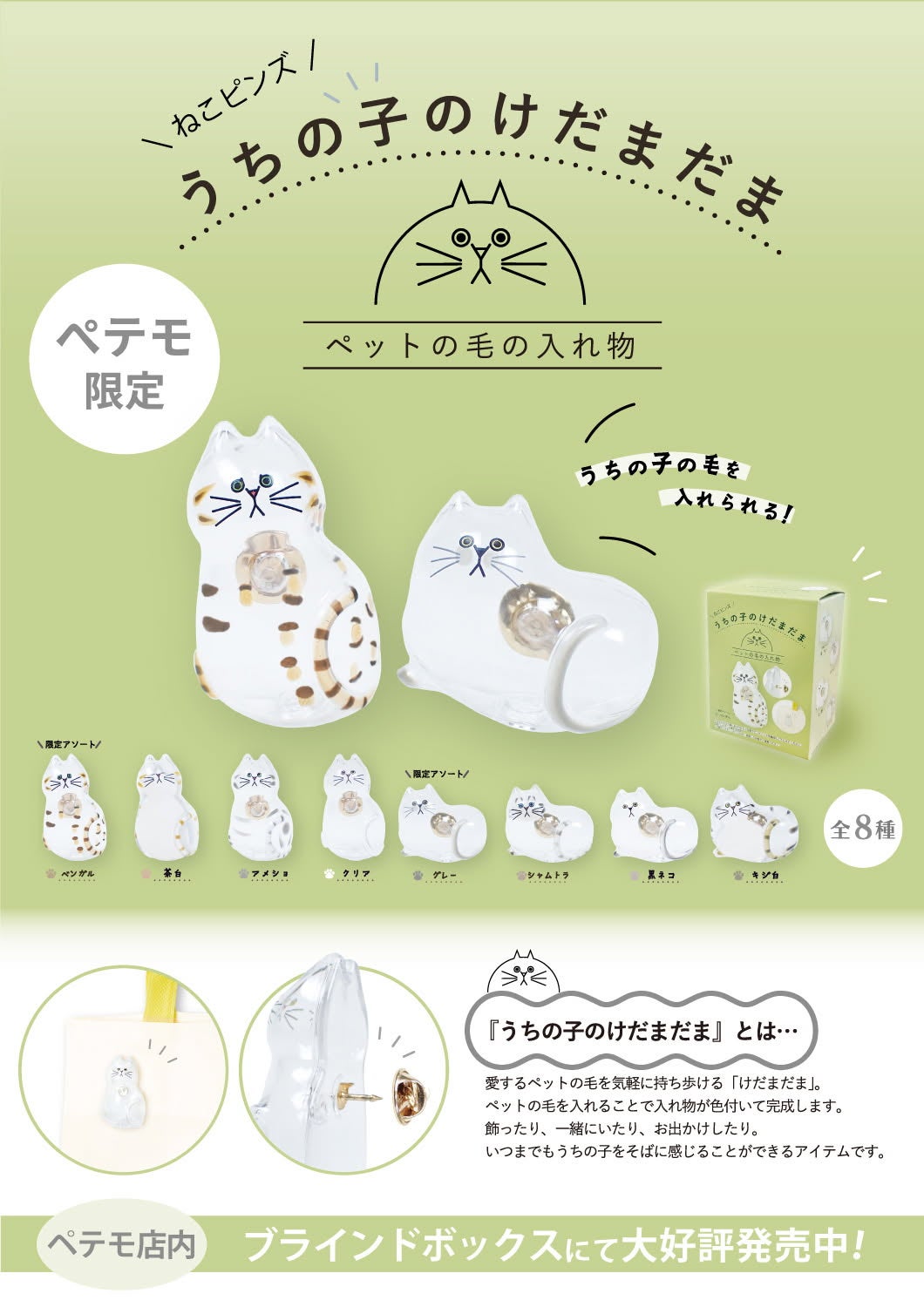 ニュース｜ショップニュース｜☆うちの子のけだまだま販売のお知らせ