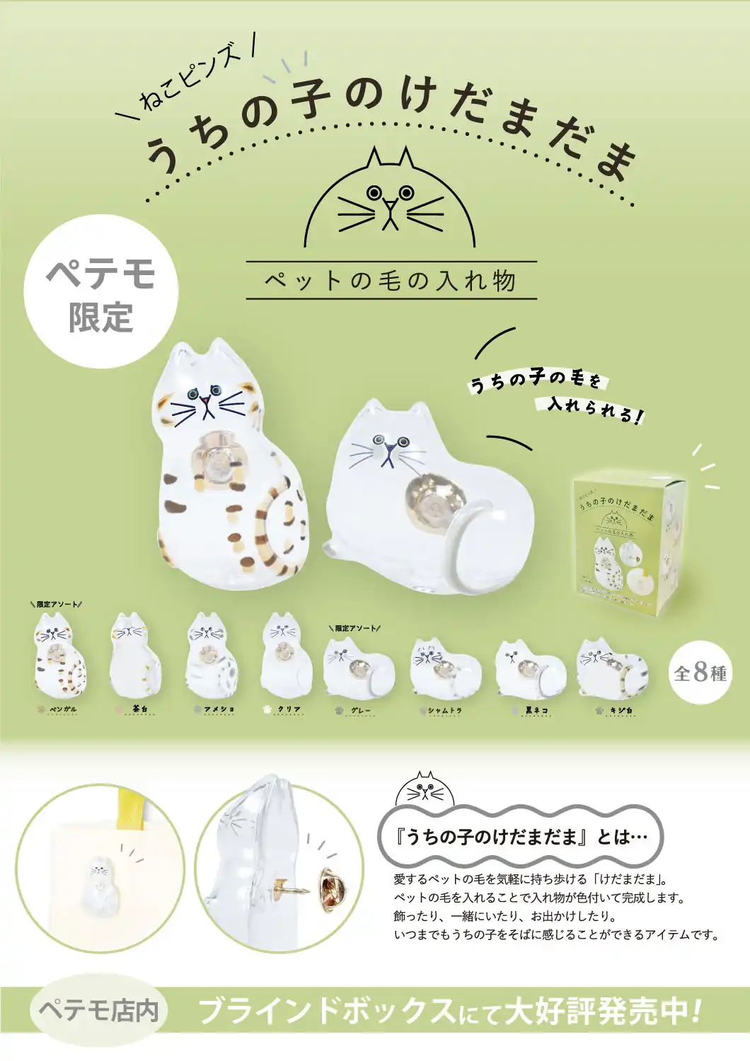 ★うちの子のけだまだま販売のお知らせ★