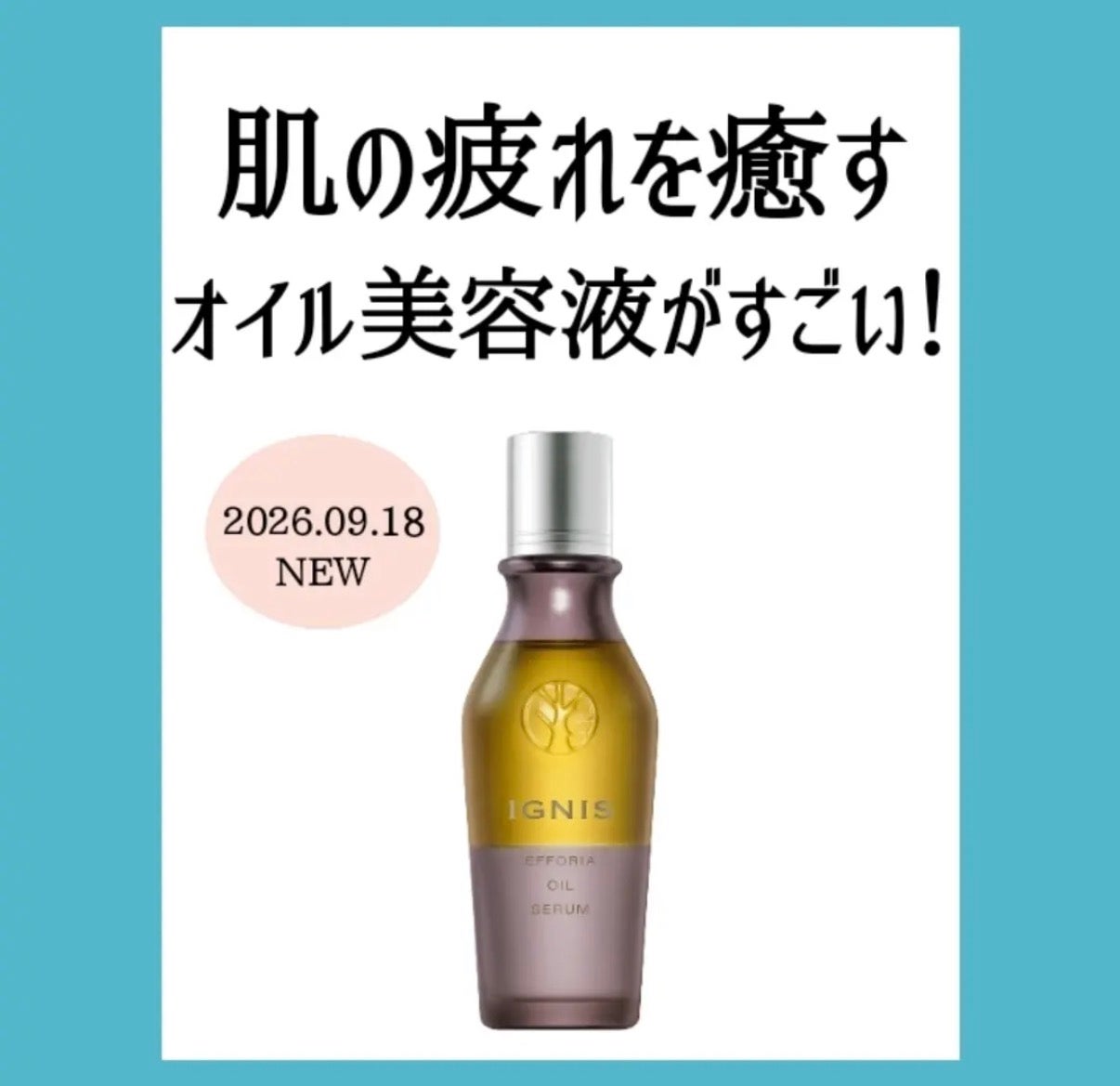 ニュース｜ショップニュース｜イグニス オイル美容液｜イオンモール大牟田