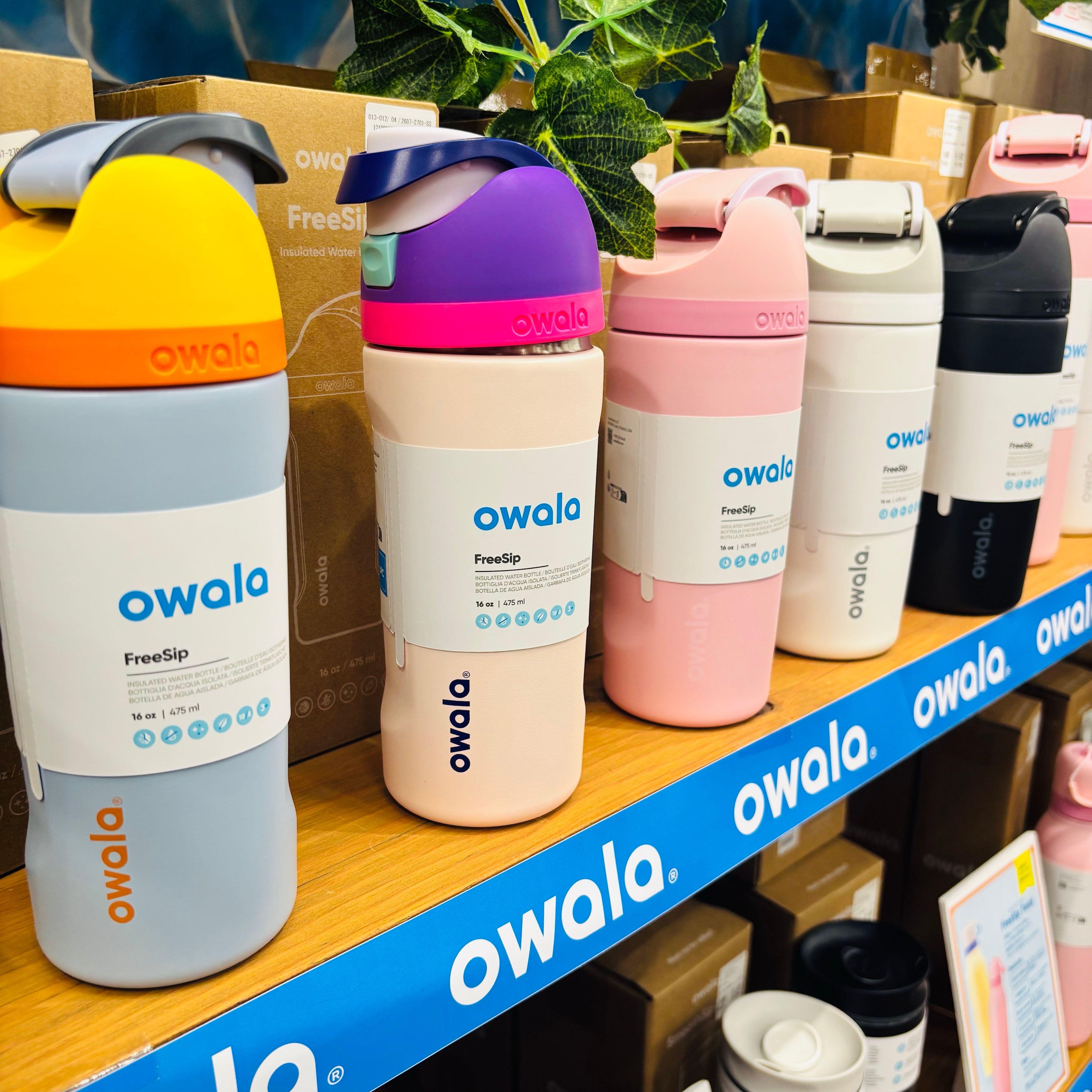 owala