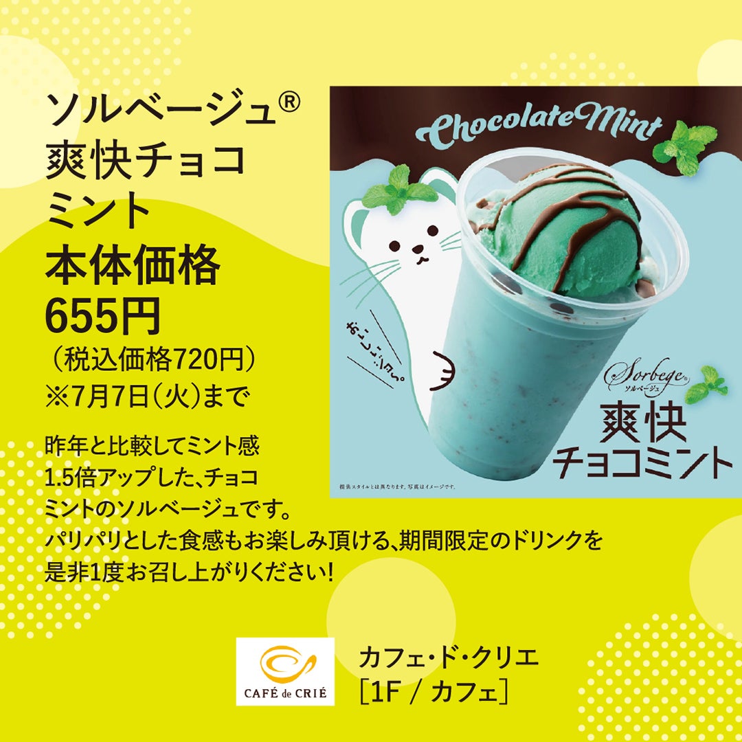 夏グルメ