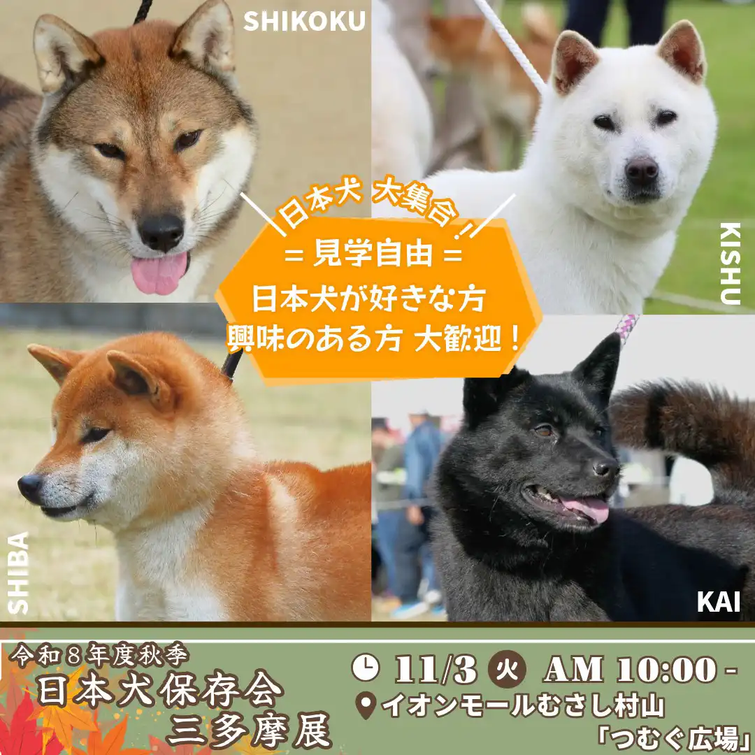 日本犬展覧会（にほんけんてんらんかい）
