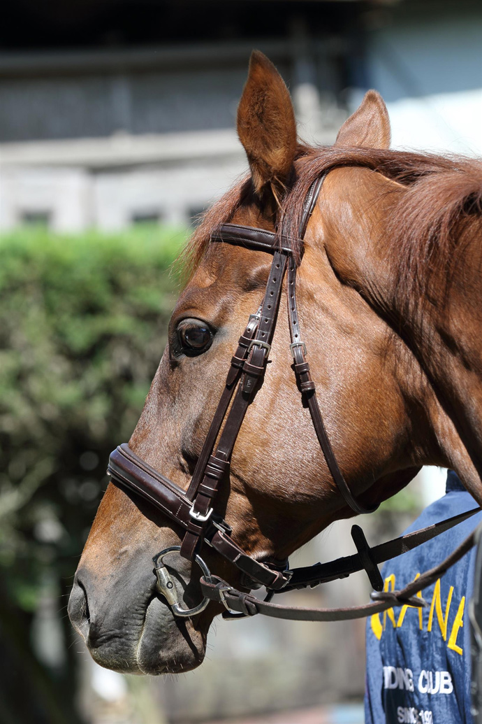 乗馬クラブクレイン三重 PRイベント