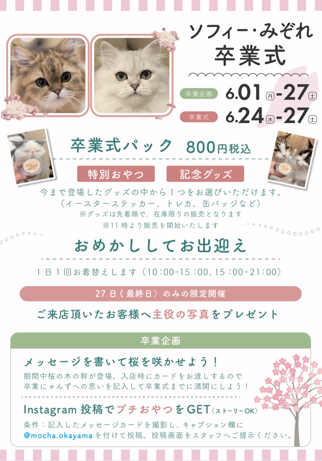 ソフィーちゃん・みぞれちゃん　卒業式