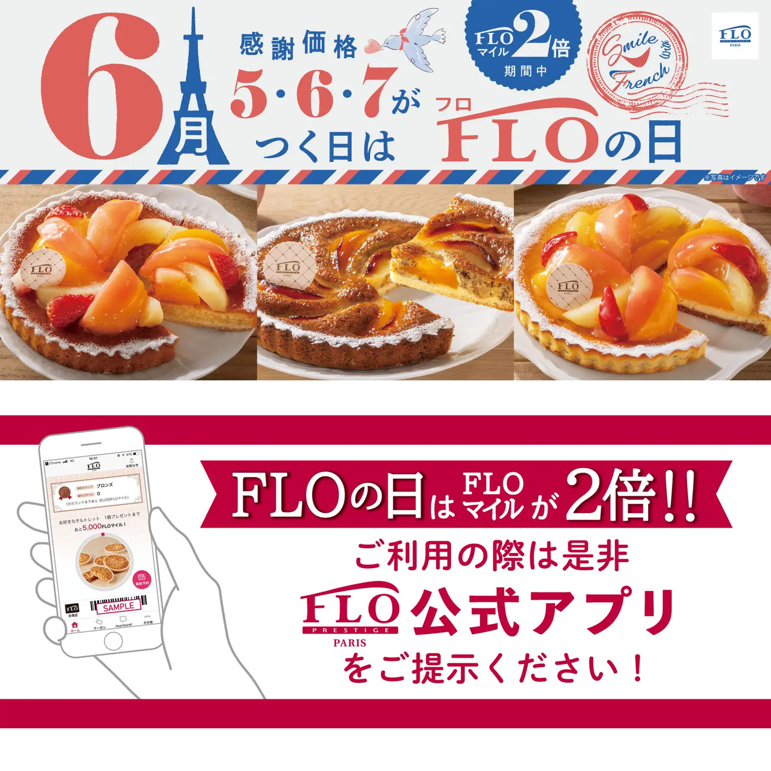 6月FLOの日
