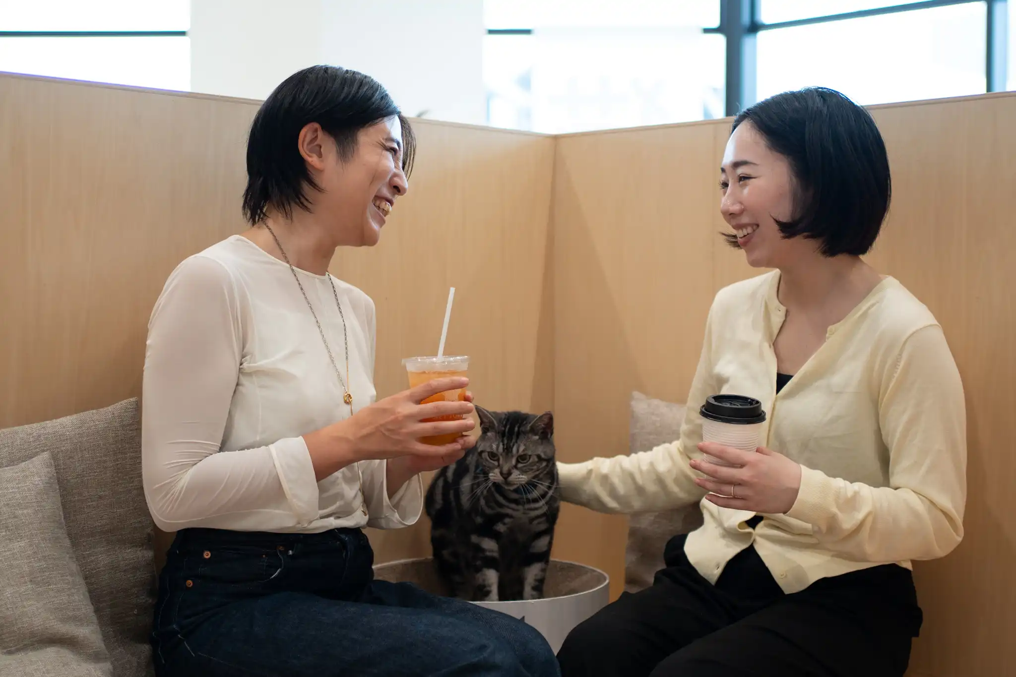 「cat cafe MOFF」【ドリンク提供がフリードリンク式へリニューアルしました!】