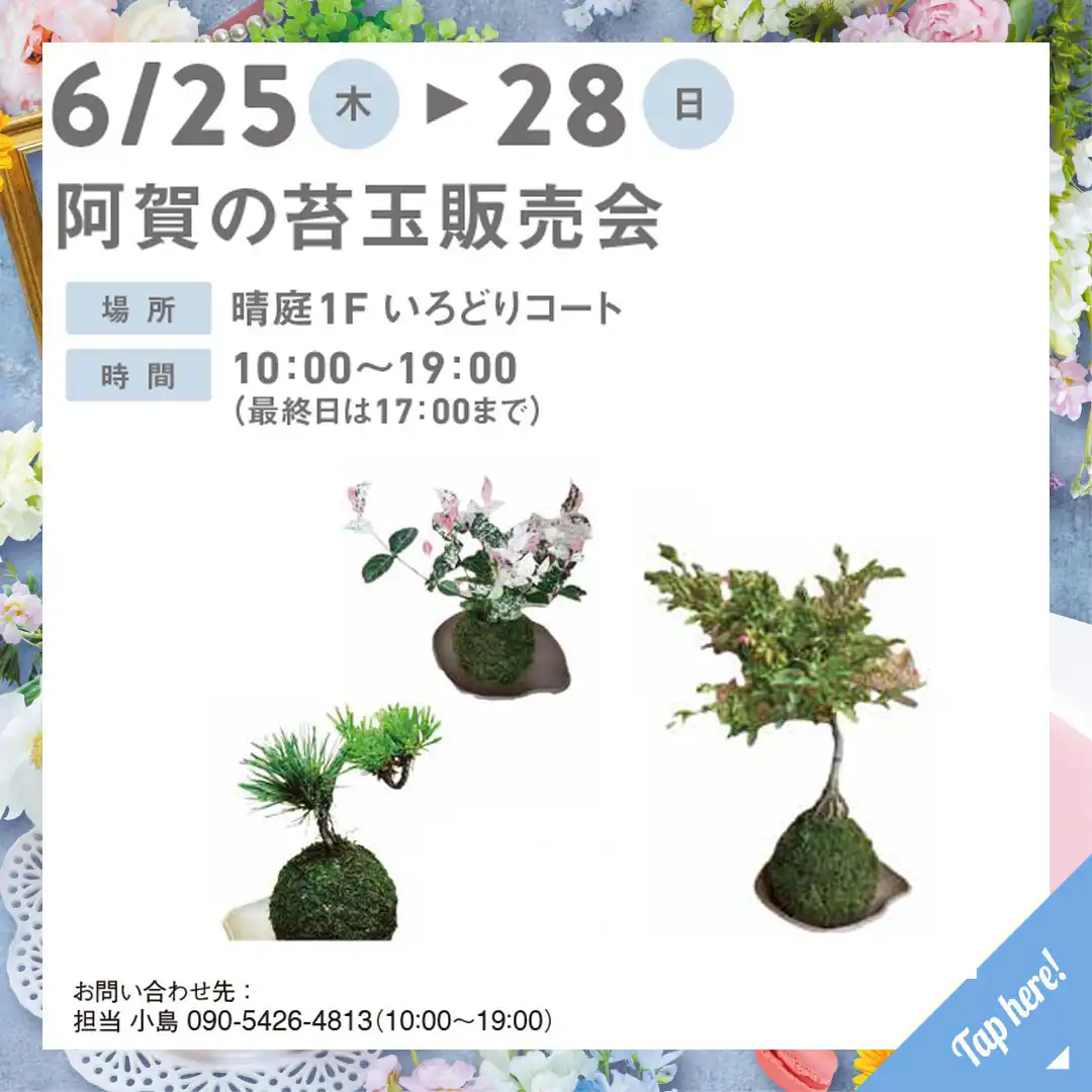 阿賀の苔玉販売会