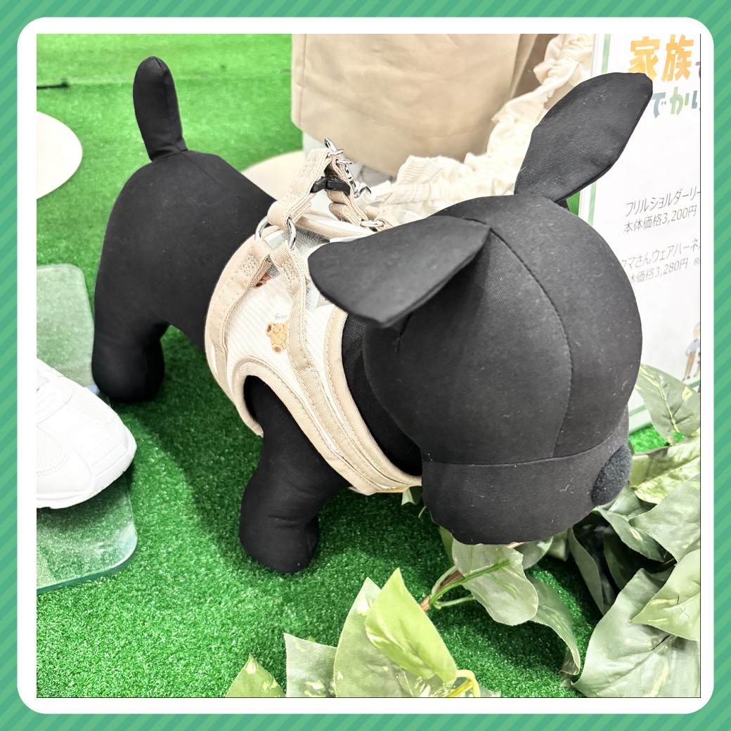 家族でおでかけ（ペテモ①）