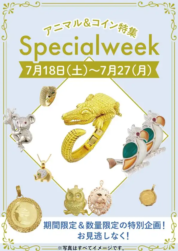 アニマル&コイン