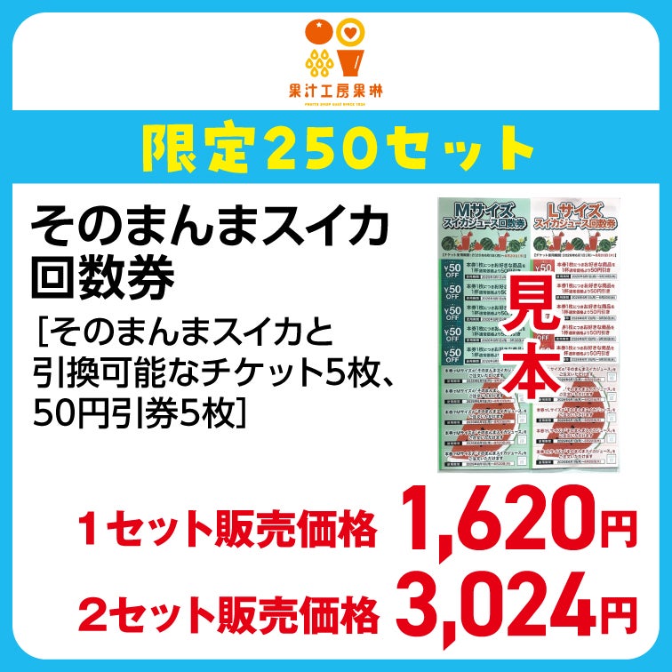 そのまんまスイカ回数券