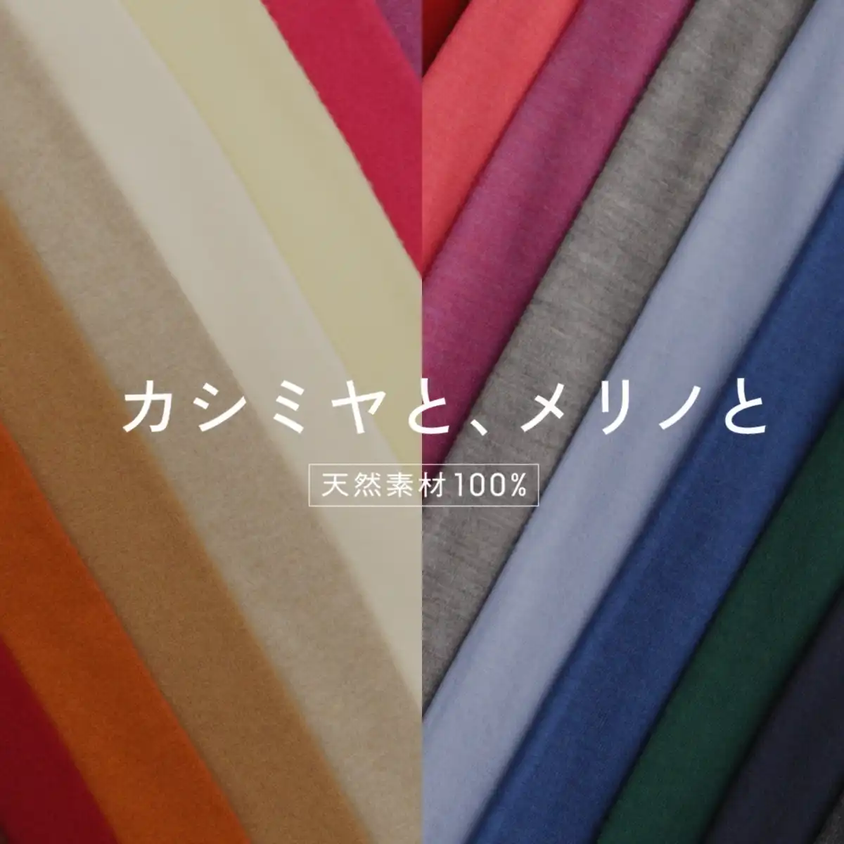 カシミヤと、メリノ