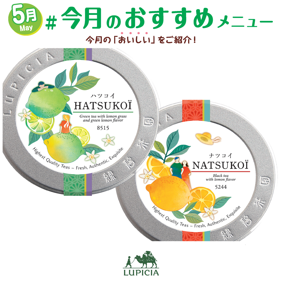 ハツコイ 50g限定デザイン缶入　 ナツコイ 40g限定デザイン缶入