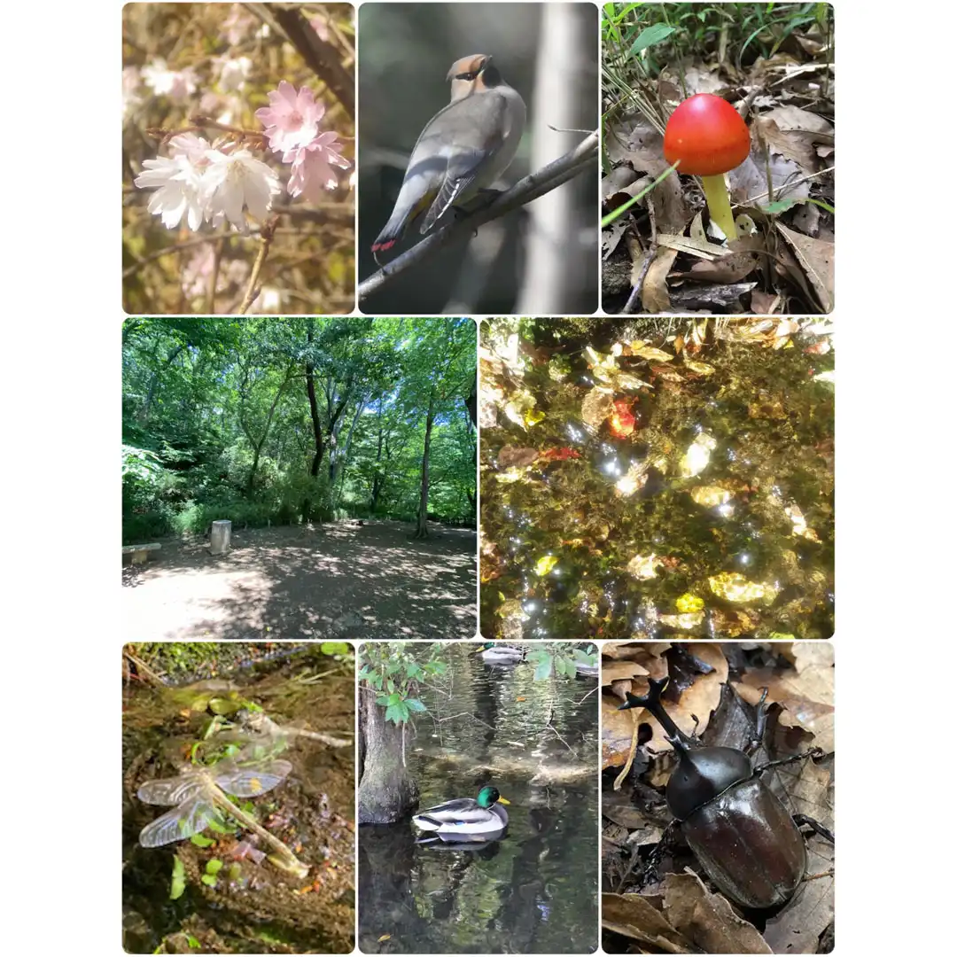 黒川清流公園の身近な自然 写真展
