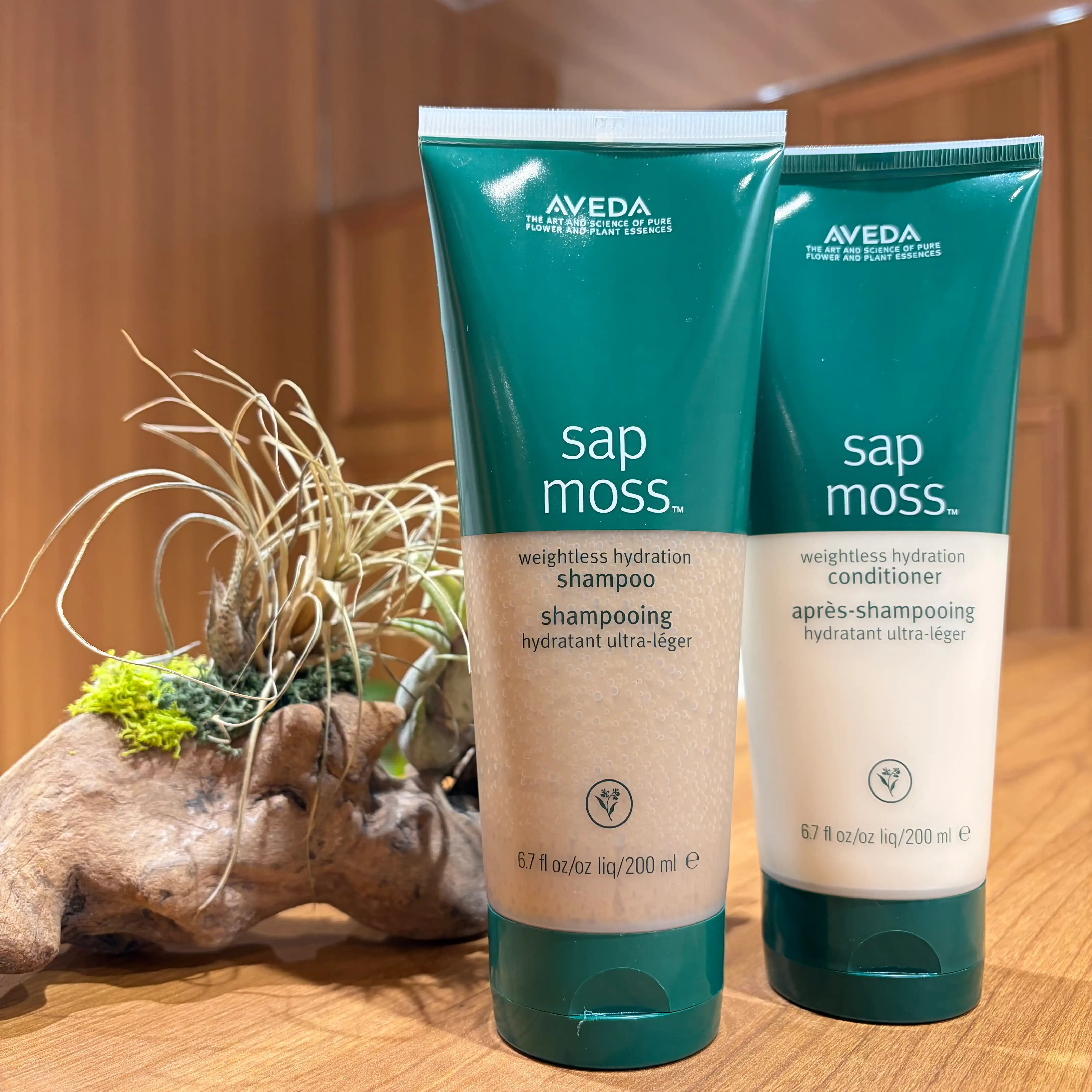 森林浴アロマのシャンプー「sap moss」