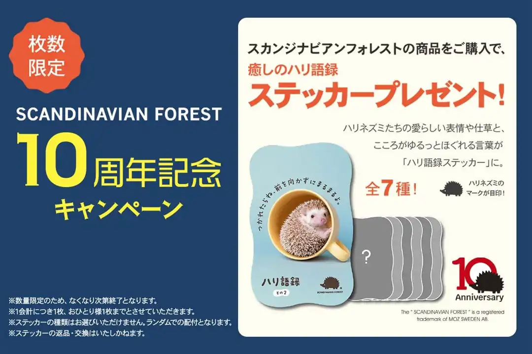 スカンジナビアンフォレスト10周年記念キャンペーン