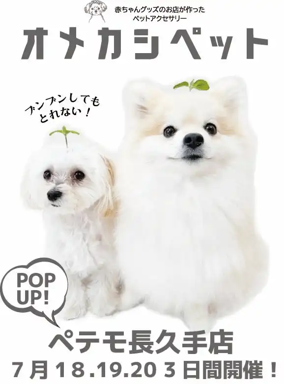 ペテモよりPOPUPのお知らせ！