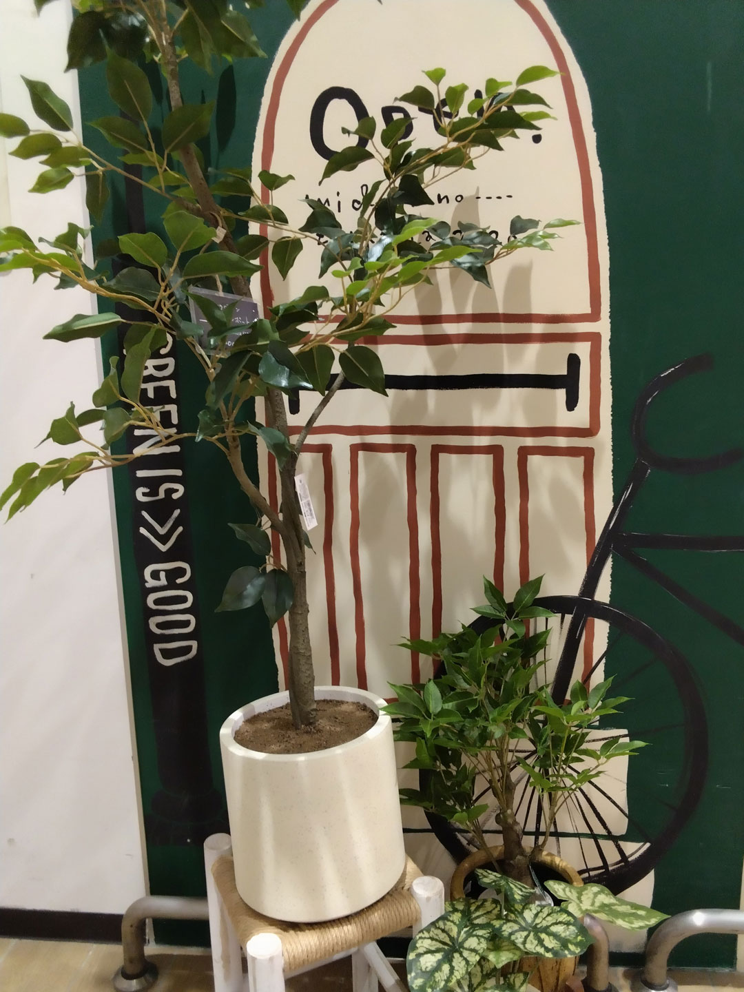 フェイクグリーン