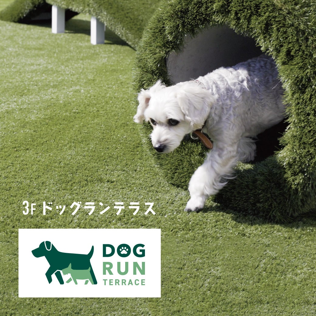 セール・お得情報｜ドッグランテラス｜ イオンモール広島府中
