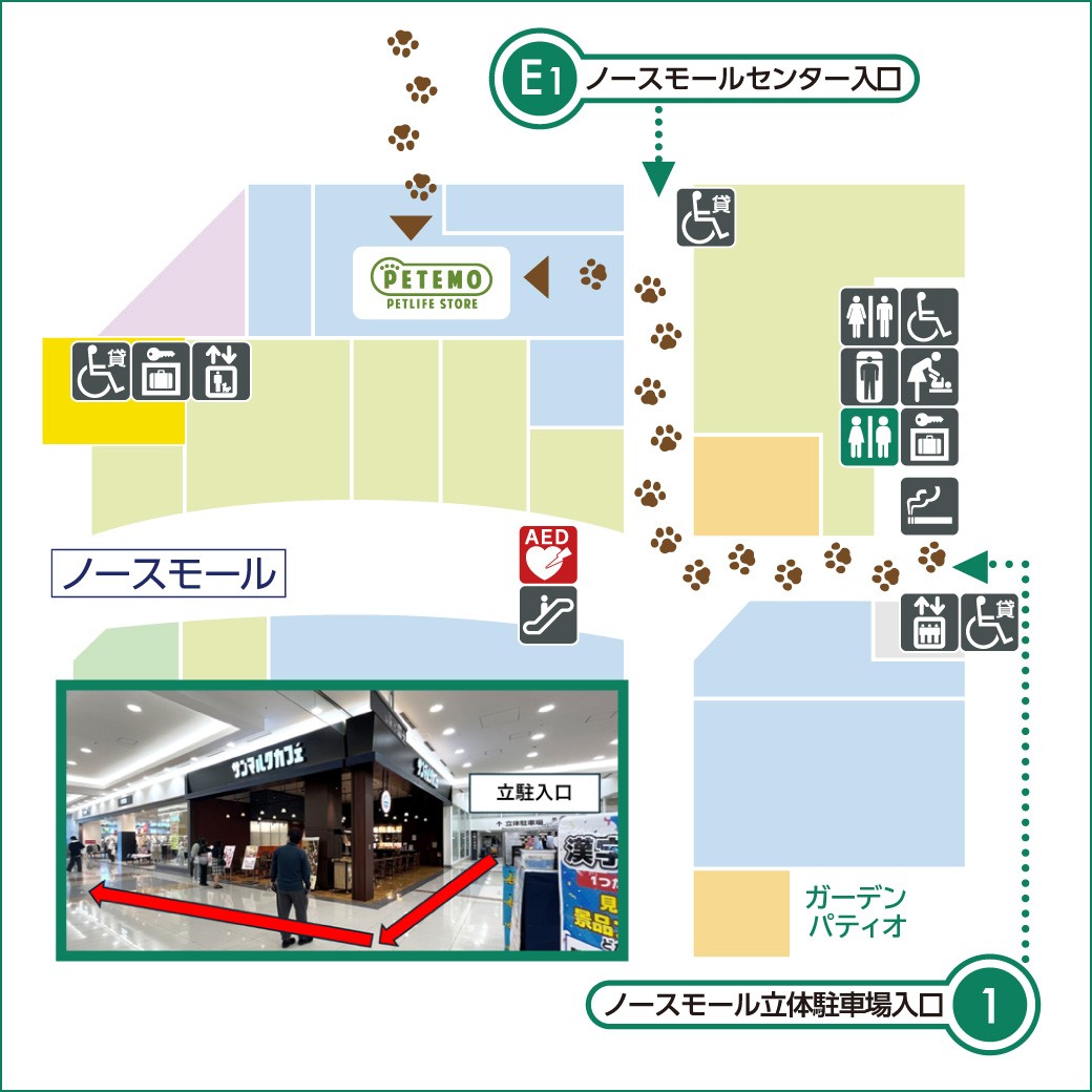 ペット動線追加のお知らせ