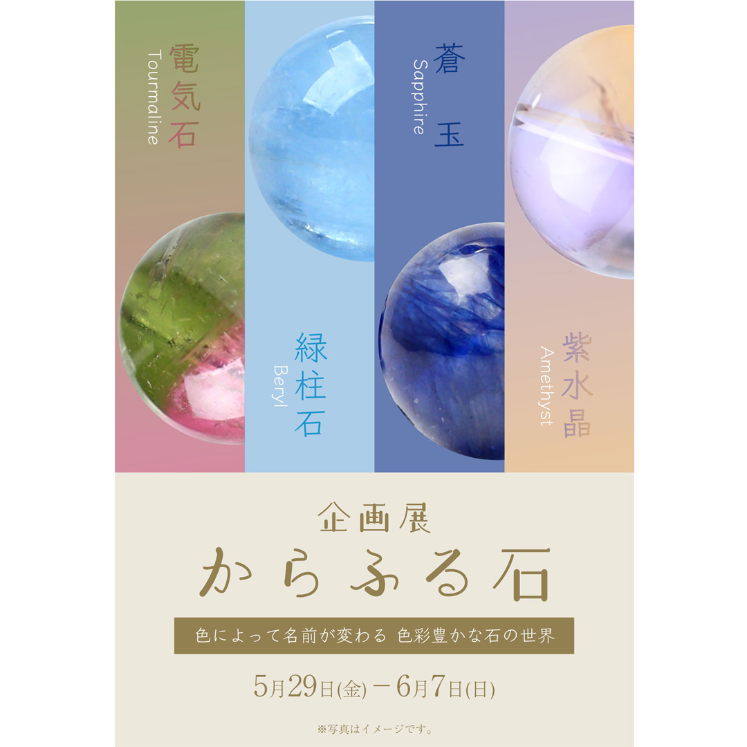 企画展 からふる石