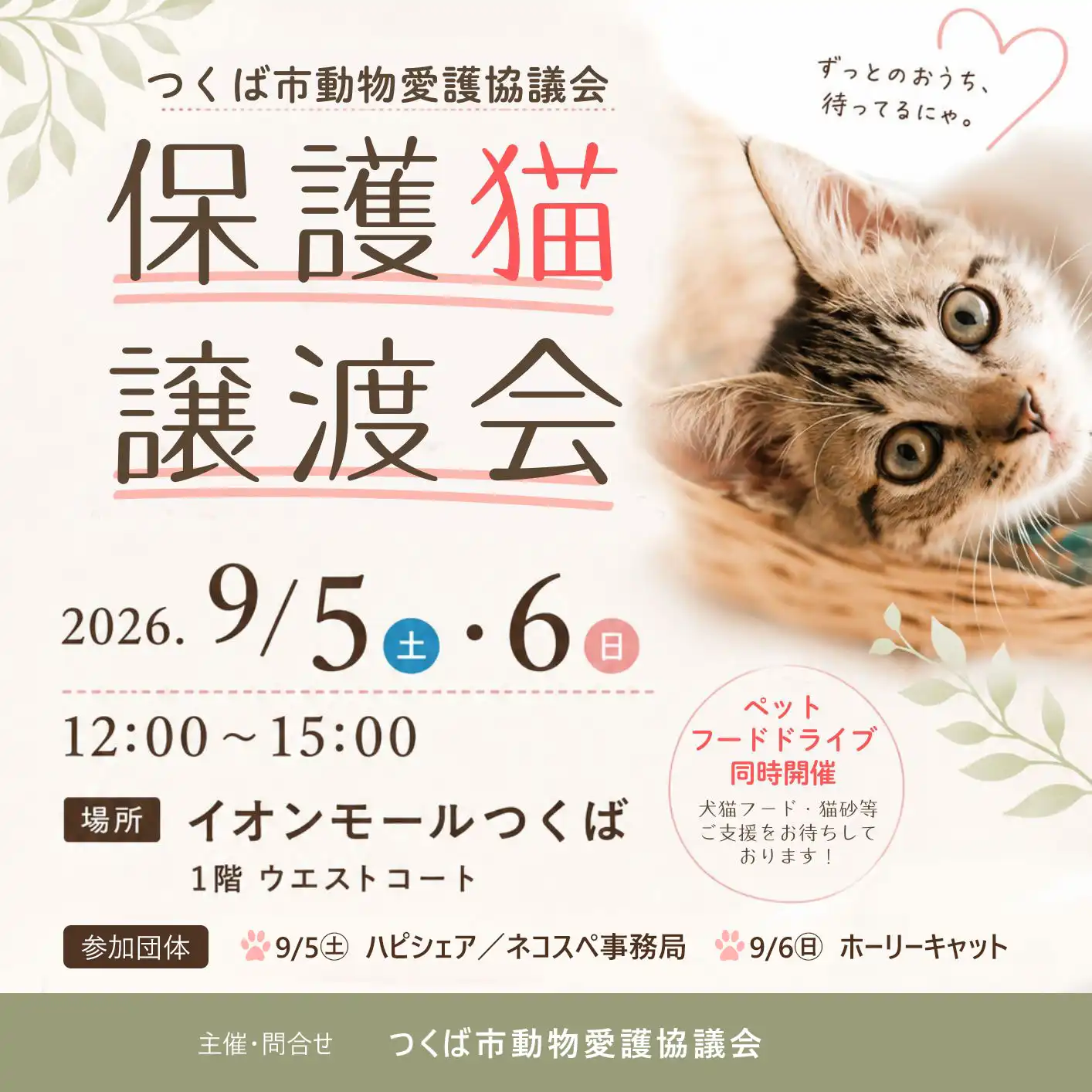 【保護猫譲渡会】