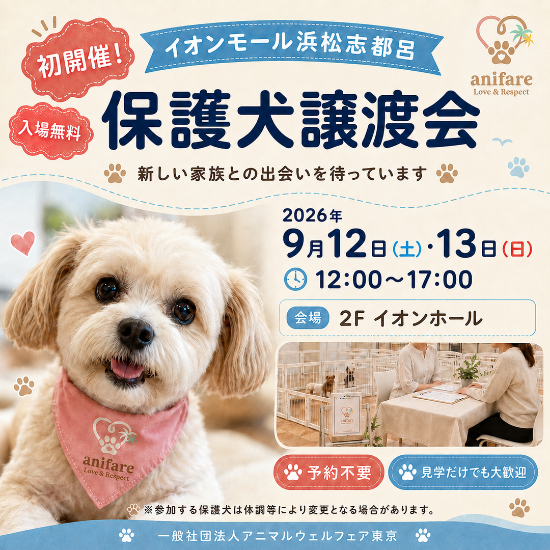 保護犬譲渡会