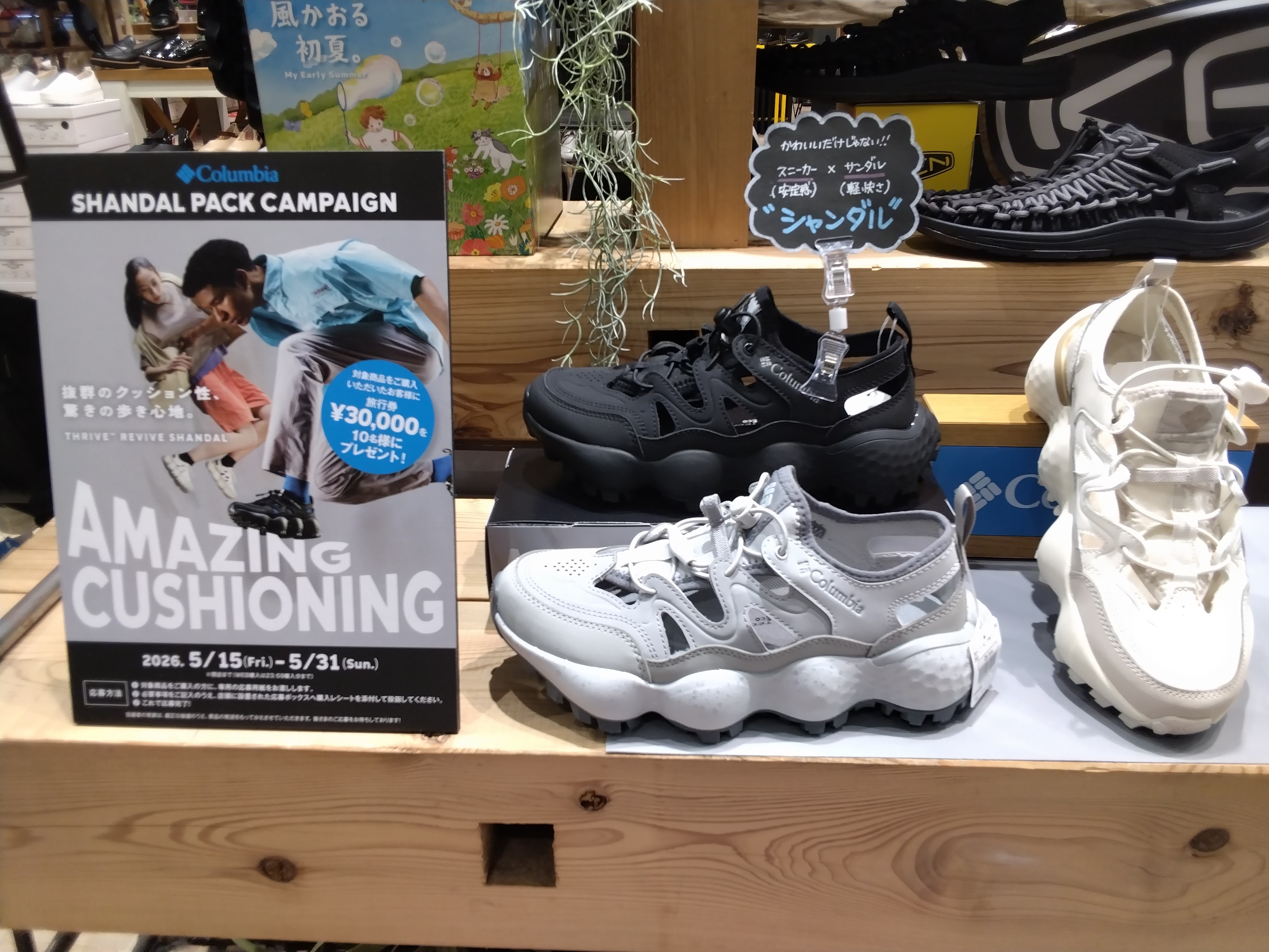 SHANDAL PACK CAMPAIGN
