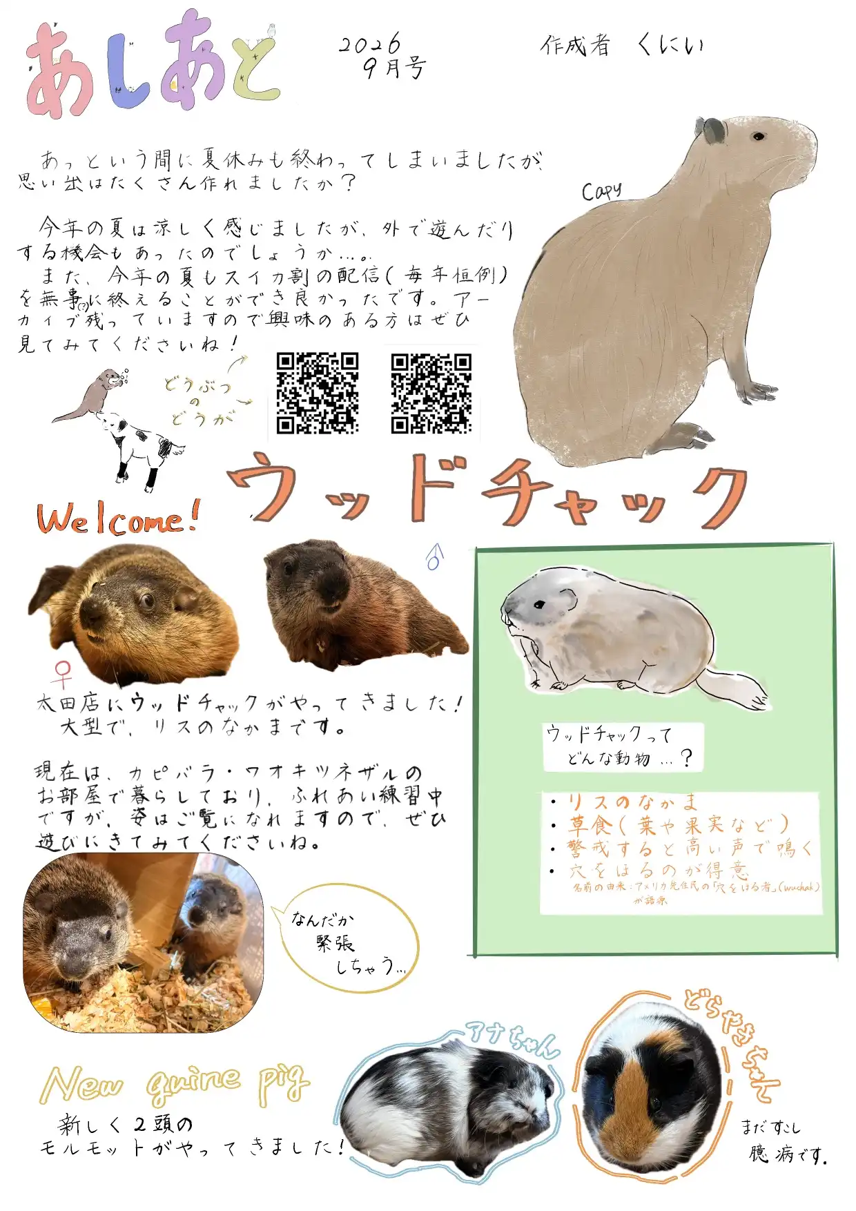 アニタッチPARK あしあと 毎月更新