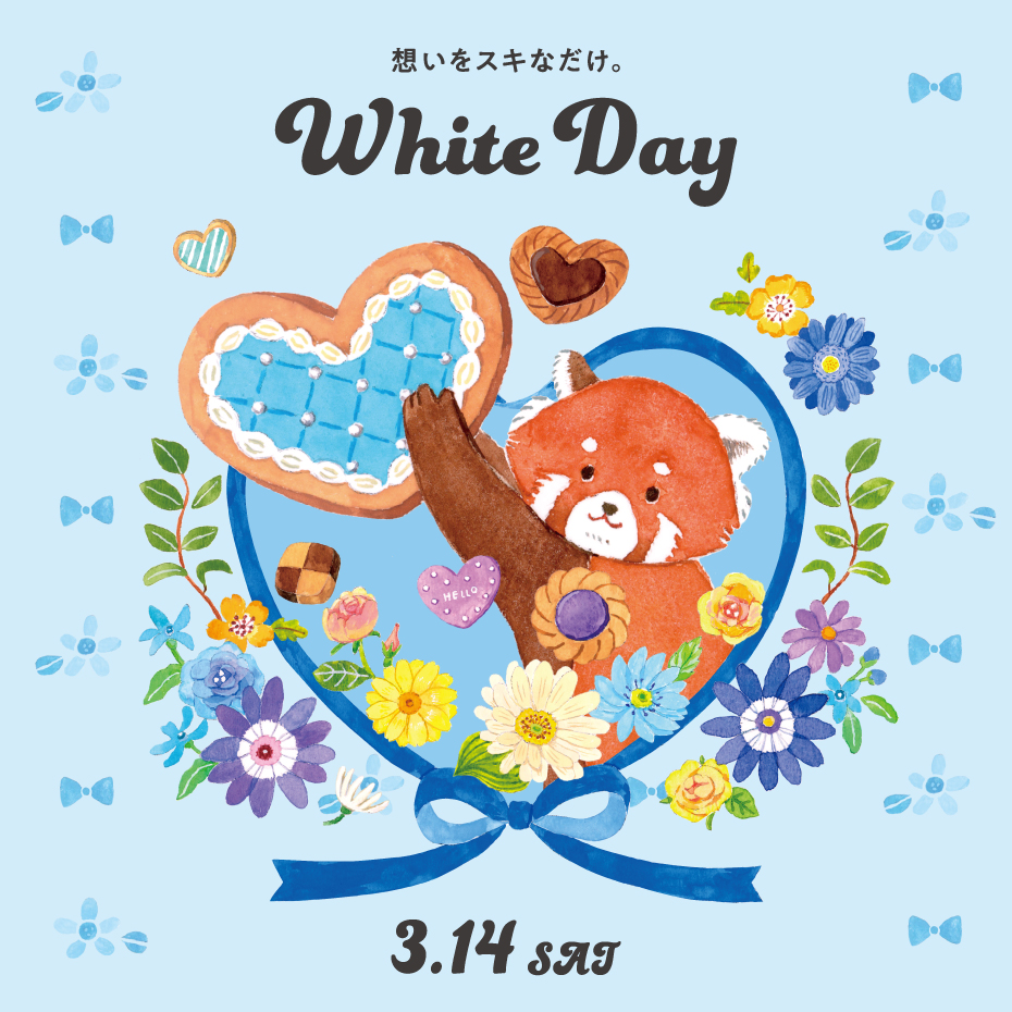 ホワイトデー特集