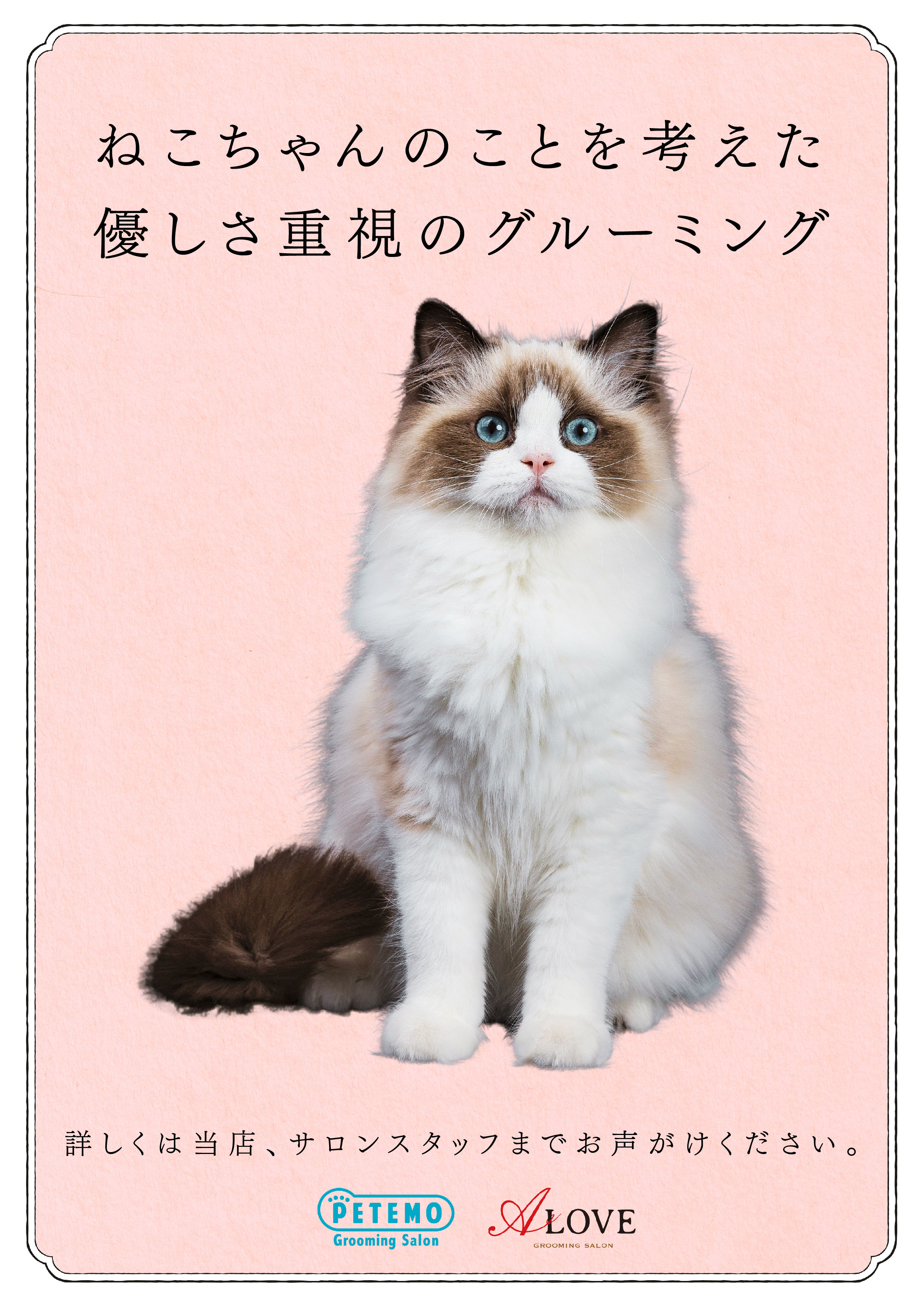 【ねこちゃんのグルーミングのご案内】