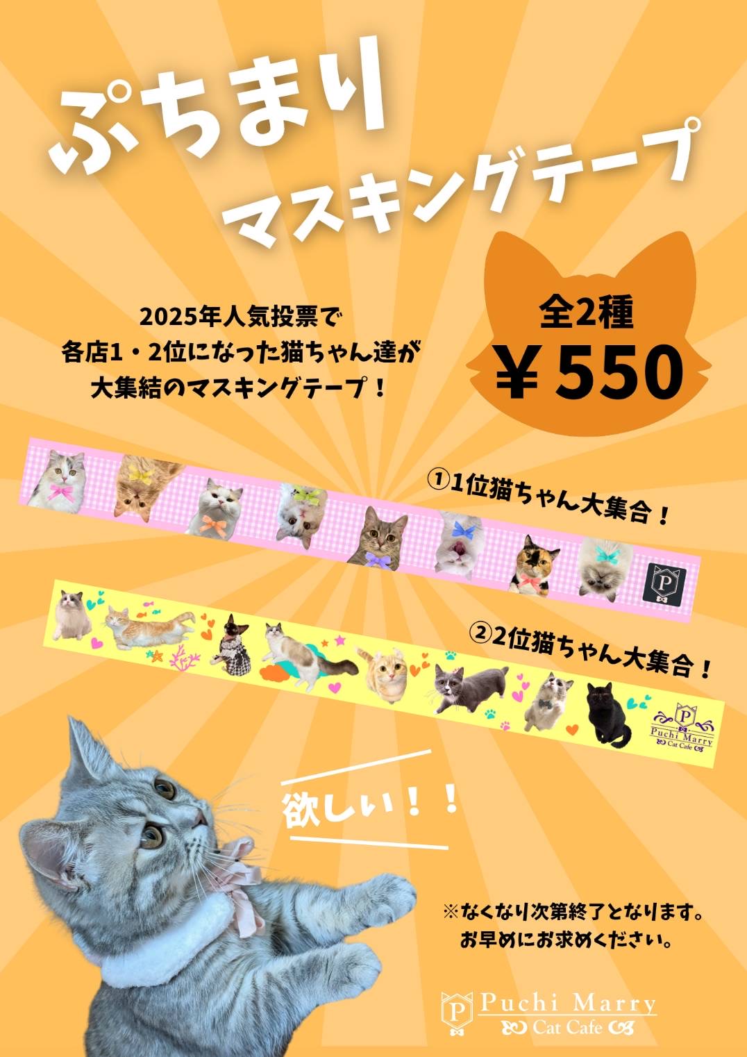 ぷちまりマスキングテープ販売中！