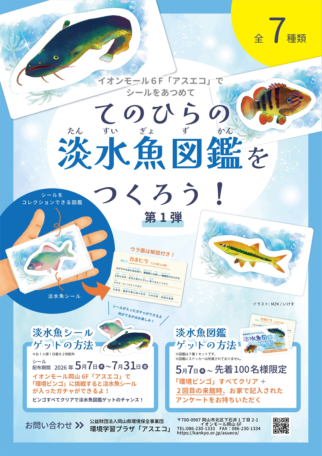 ニュース｜ショップニュース｜自分だけの「淡水魚図鑑」を作ろう
