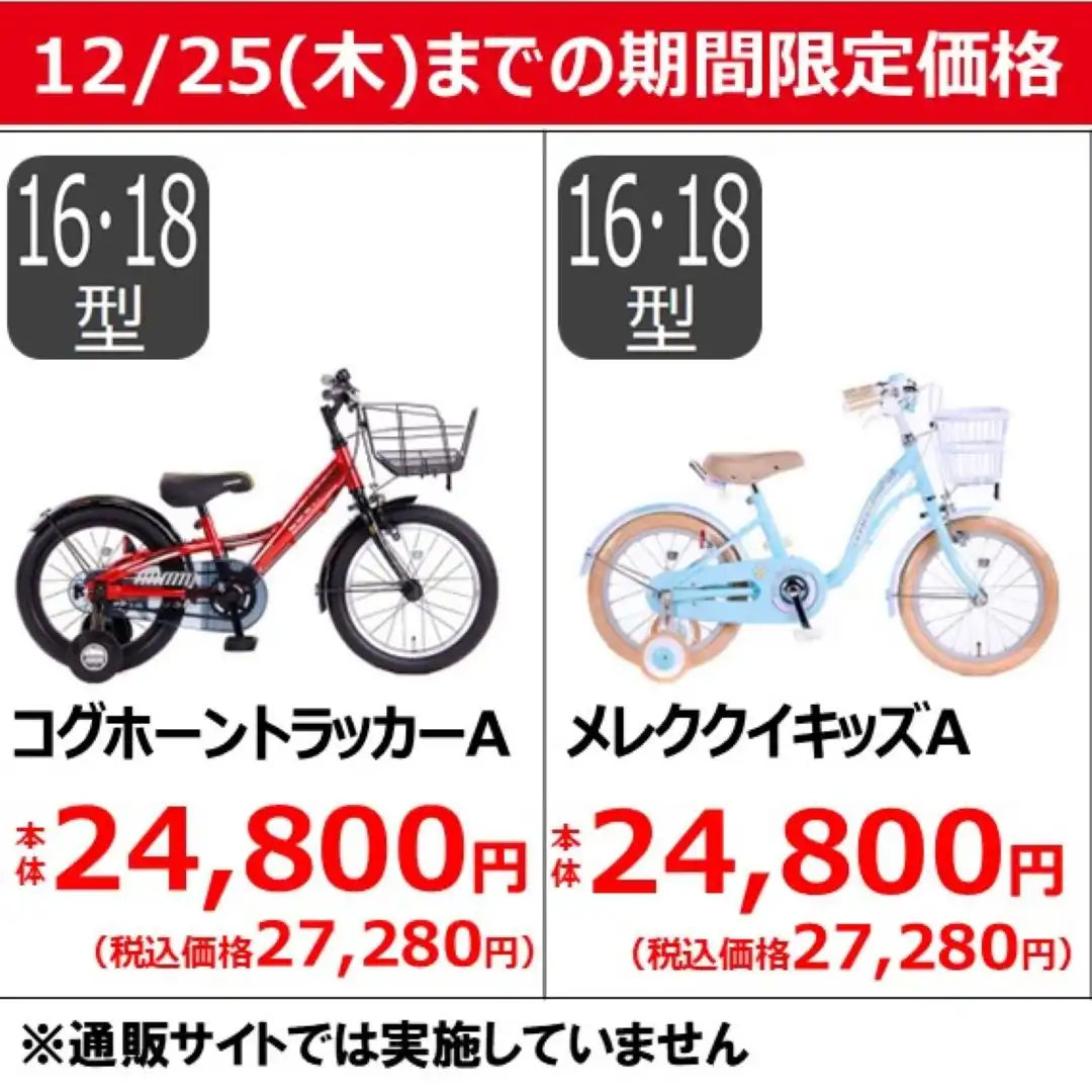 【12/25(木)までの期間限定価格】