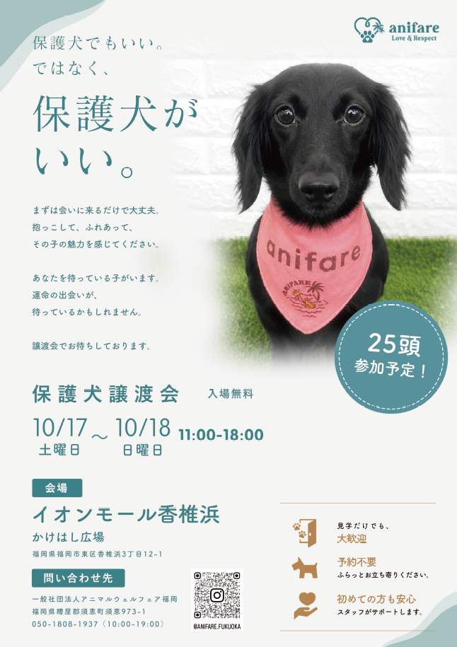 保護犬譲渡会