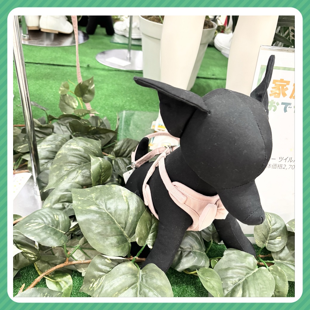 家族でおでかけ（ペテモ②）