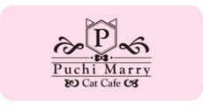 猫カフェ Puchi Marry