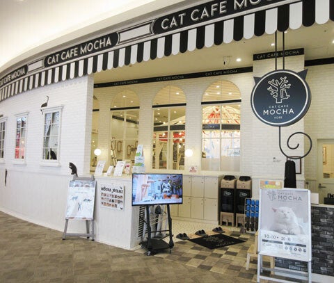 グルメ｜猫カフェ モカ｜イオンモール神戸北