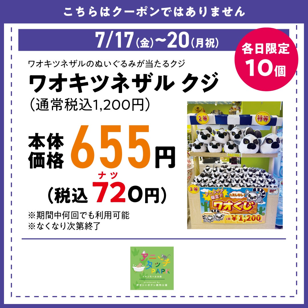 ワオキツネザル クジ